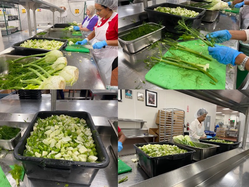 chopped-fennel-in-svmow-kitchen